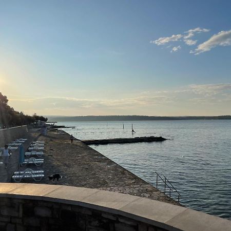 App Robi Lägenhet Novigrad Istria Exteriör bild