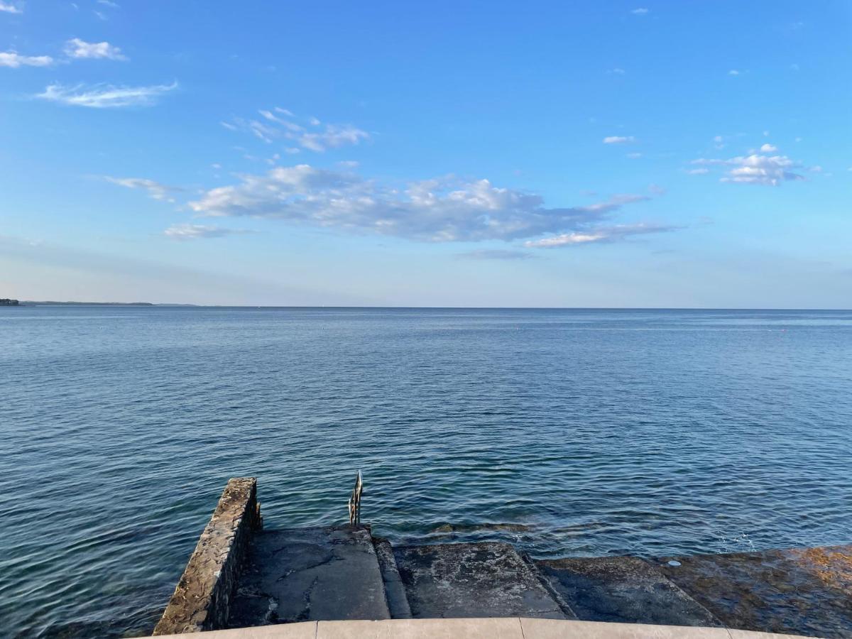 App Robi Lägenhet Novigrad Istria Exteriör bild